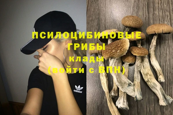 Альфа ПВП Володарск