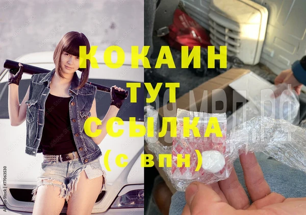 ГАЛЛЮЦИНОГЕННЫЕ ГРИБЫ Вяземский
