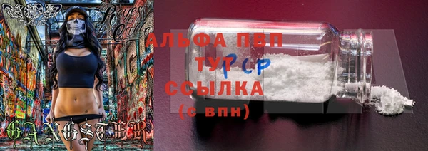 стаф Верея