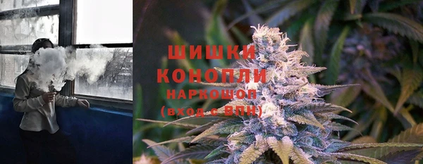Альфа ПВП Володарск