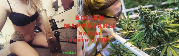 ГАЛЛЮЦИНОГЕННЫЕ ГРИБЫ Вяземский